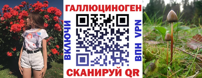 Псилоцибиновые грибы мицелий Шумерля